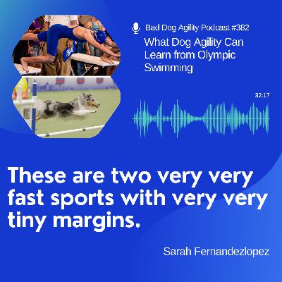 382: What Dog Agility Can Learn from Olympic Swimming