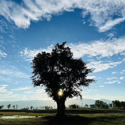 中国 | 大理：我在大理的三种角色（数字游民+客栈老板篇）