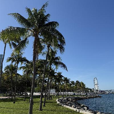 LA PLANTA DE ENERGÍA (E2016). LA PLANTA DE ENERGÍA (E2016).
