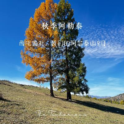 我们的阿尔泰山（秋季版），市场上唯一的阿尔泰山完整深度旅行？