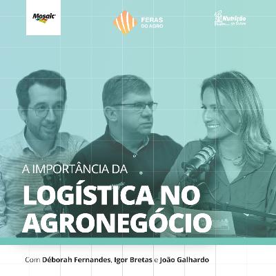 Feras do Agro [#09] - A importância da logística no agronegócio