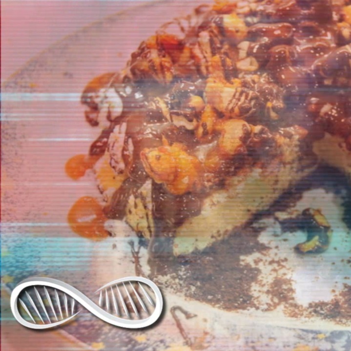 LIFEHACKING SELF CONTROL #5 DON'T MORALIZE