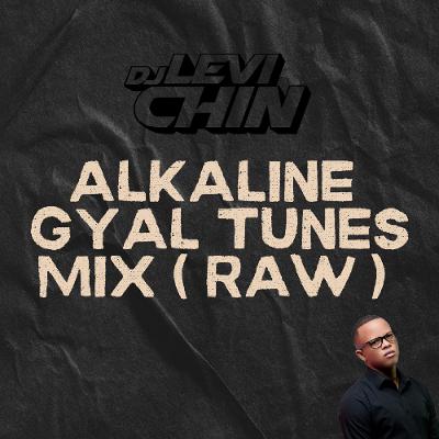 ALKALINE MIX ( GYAL TUNES ) (RAW) DJ LEVI CHIN