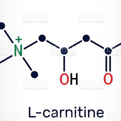 Mitos y realidades de la L-CARNITINA
