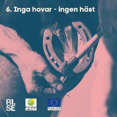 Inga hovar – ingen häst Inga hovar – ingen häst
