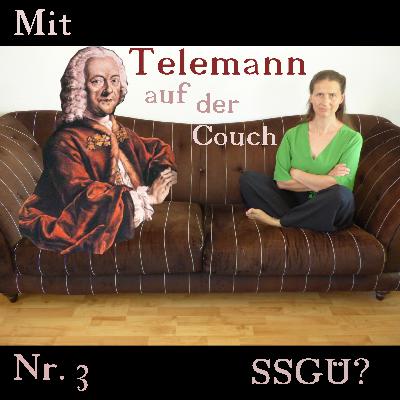 #3 Was sind die SSGÜ?