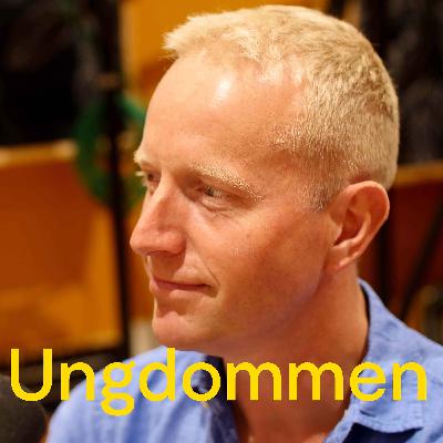 Det politiske generasjonsgapet