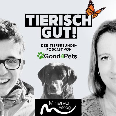 Wie ein Brief an VITA Assistenzhunde Paul ein Leben ohne Angst schenkte