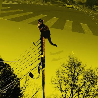 El niño que corría detrás de los pájaros (parte 2) El niño que corría detrás de los pájaros (parte 2)