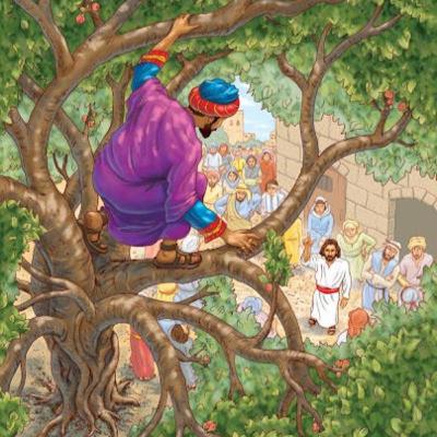 Zacchaeus - 5 October 2025