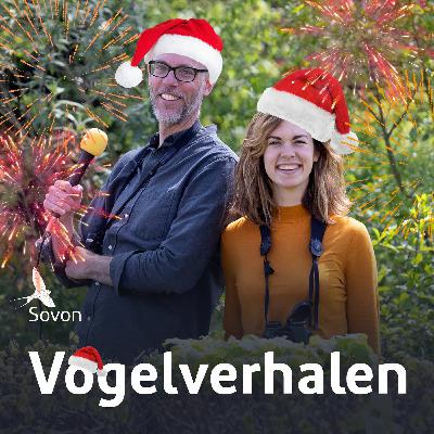 Vogelverhalen: eindejaarsaflevering 2023