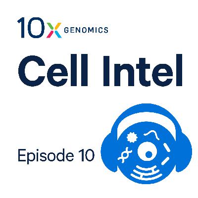 Studying T-Cell Exhaustion in Brain Metastases