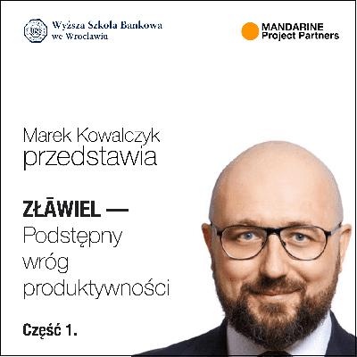 WSB We Wrocławiu Zławiel Studia Podyplomowe Zarządzanie Projektem cz. 1