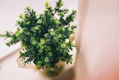 【晚安】我还爱你，却再也不能告诉你——NJ而已