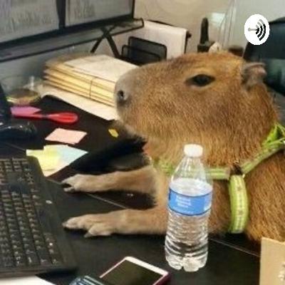 Um meta-áudio Um meta-áudio