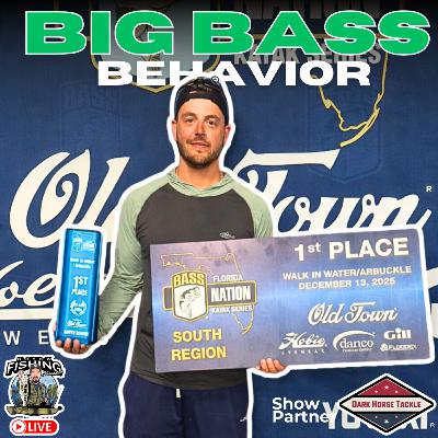 Breaking Down Big Bass Behavior **What Actually Matters**