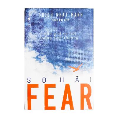 Review sách Hoá Giải Sợ Hãi Bằng Tình Thương (Thầy Thích Nhất Hạnh) - Tập 10