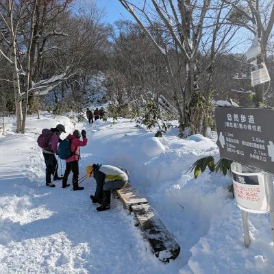 冬の北海道、楽しめてますか？冬の藻岩山は初心者でも登れそうです　#413