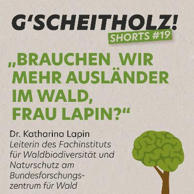 G'SCHEITHOLZ! Shorts #19 - Brauchen wir mehr Ausländer im Wald, Frau Lapin?