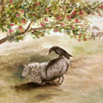 The Crow and the Sheep The Crow and the Sheep