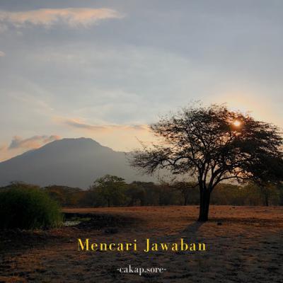 #11 Mencari Jawaban #11 Mencari Jawaban