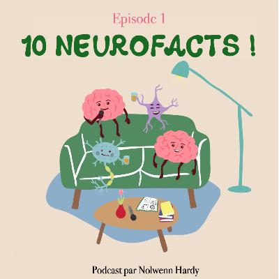 10 NeuroFacts !