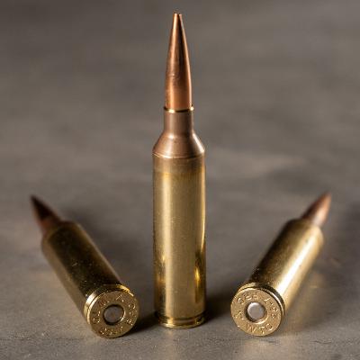 48. Long Range Q&A: Cartridge Breakdowns, Ethics and Handloading 48. Long Range Q&A: Cartridge Breakdowns, Ethics and Handloading
