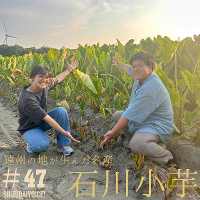 #47 知られざる遠州の名産？！石川小芋をフカボリ！
