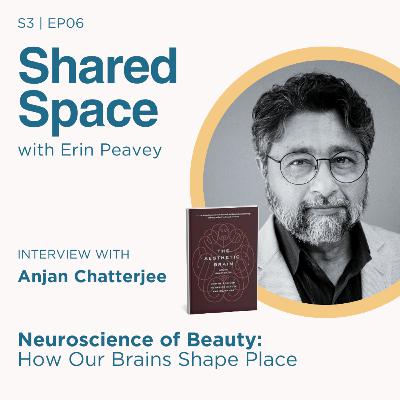 Neuroscience of Beauty: How Beautiful Spaces Shape Our Minds with Dr. Anjan Chatterjee