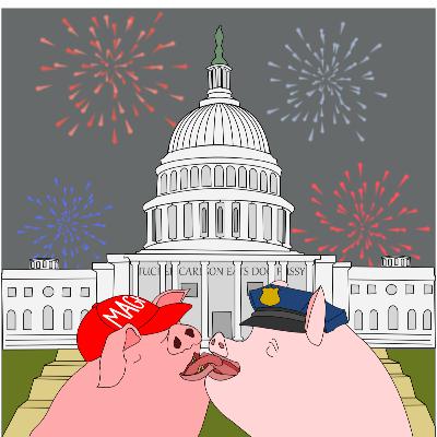 The Insurrection: Trump Supporters Storm The Capitol on Jan. 6th