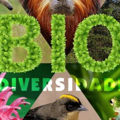 Biodiversidade e vírus Biodiversidade e vírus