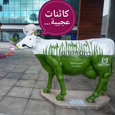 كائنات عجيبة 1 : جنون البقر وجنون البشر