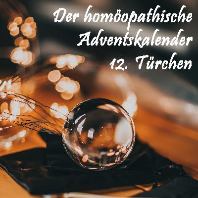Adventskalender Tag 12