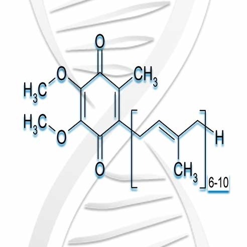 CoQ10 as a Nootropic: Biohacking the mitochondria for inspiration and immortality