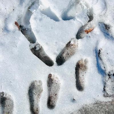 Day 318: Feet in the Mud… Wanting Nothing… Day 318: Feet in the Mud… Wanting Nothing…
