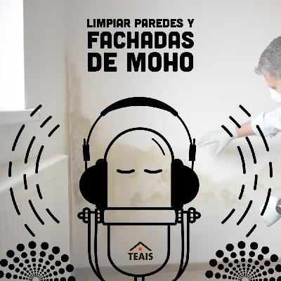 Limpiar paredes y fachadas de moho
