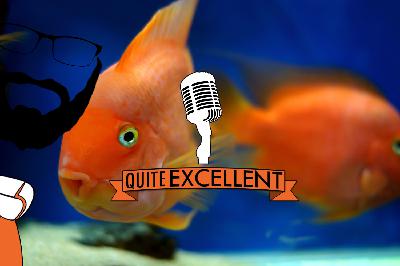 "Good Dog" - Tony Hoagland