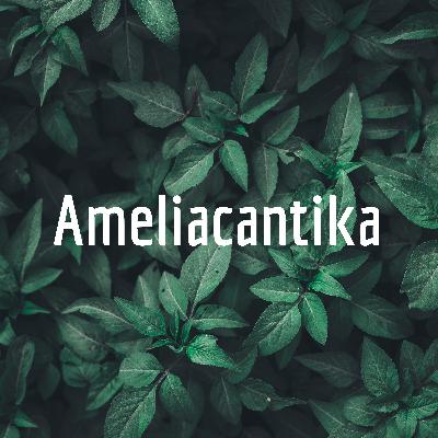 Podcast
