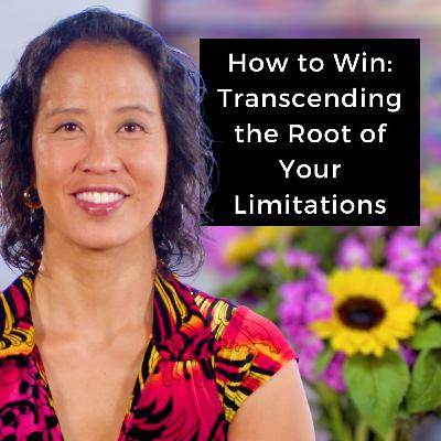 Episode 252 - How to Win: Transcending the Root of Your Limitations Episode 252 - How to Win: Transcending the Root of Your Limitations