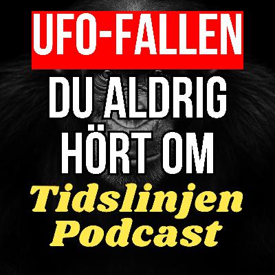 #50 – UFO‑bevis, mörkläggning & mystiska drönare – med E. T. Persson #50 – UFO‑bevis, mörkläggning & mystiska drönare – med E. T. Persson