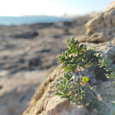 14. Errori 14. Errori