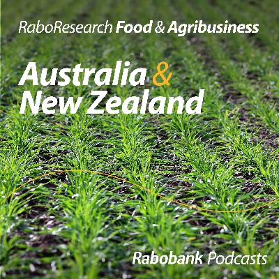 Turning clouds: Rainfall boosts confidence, with an above-average Australian crop likely for 2025/26