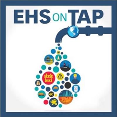 E268: Assessing the State of EHS Maturity