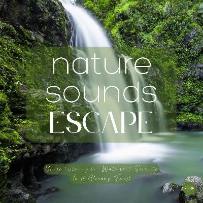 Waterfall Serenity In A Dreamy Forest | Relaxing Nature Sounds For Sleep, Meditation, Relaxation, Studying Or Focus | Sleep Music, Sleeping Music, Sleep Sounds, Rain, Study Music, Zen, Sleep Fast, White Noise For Sleep, Música Relajante Para Dormir