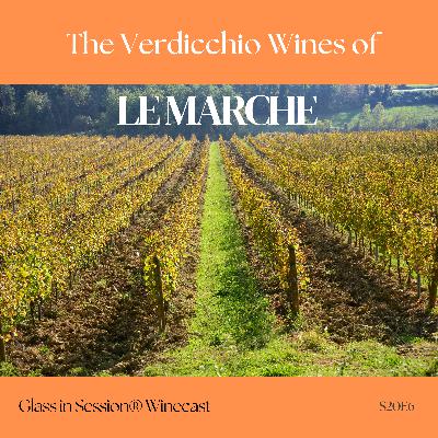 A Tale of Two Wine Cities: Verdicchio from Le Marche | S20E6