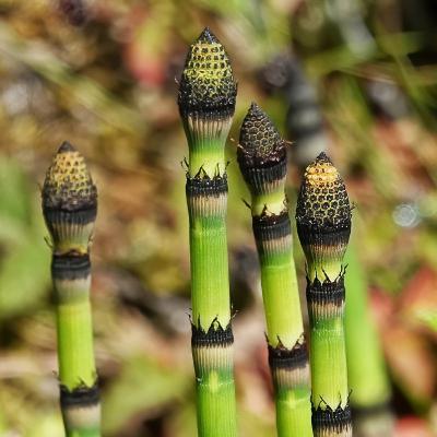Episode 07-2025 Timeless Wonders of Nature