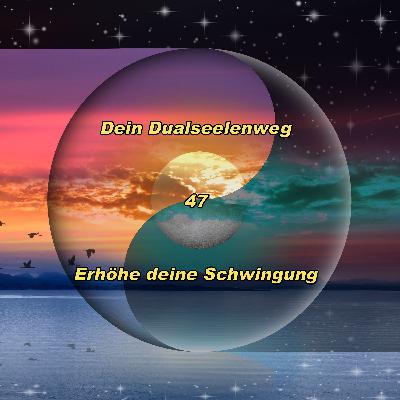 47 - Erhöhe deine Schwingung
