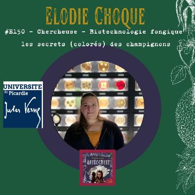 Elodie Choque - Biotechnologie fongique : les secrets (colorés) des champignons
