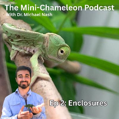 Enclosures for Mini-Chameleons