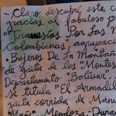 Los Bajeros De La Montaña - El Armadillo Mohán